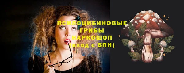 ПСИЛОЦИБИНОВЫЕ ГРИБЫ Богородск