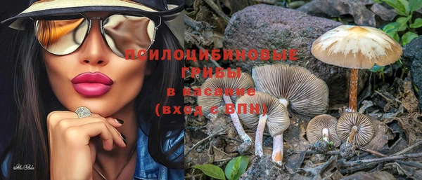 экстази Богданович
